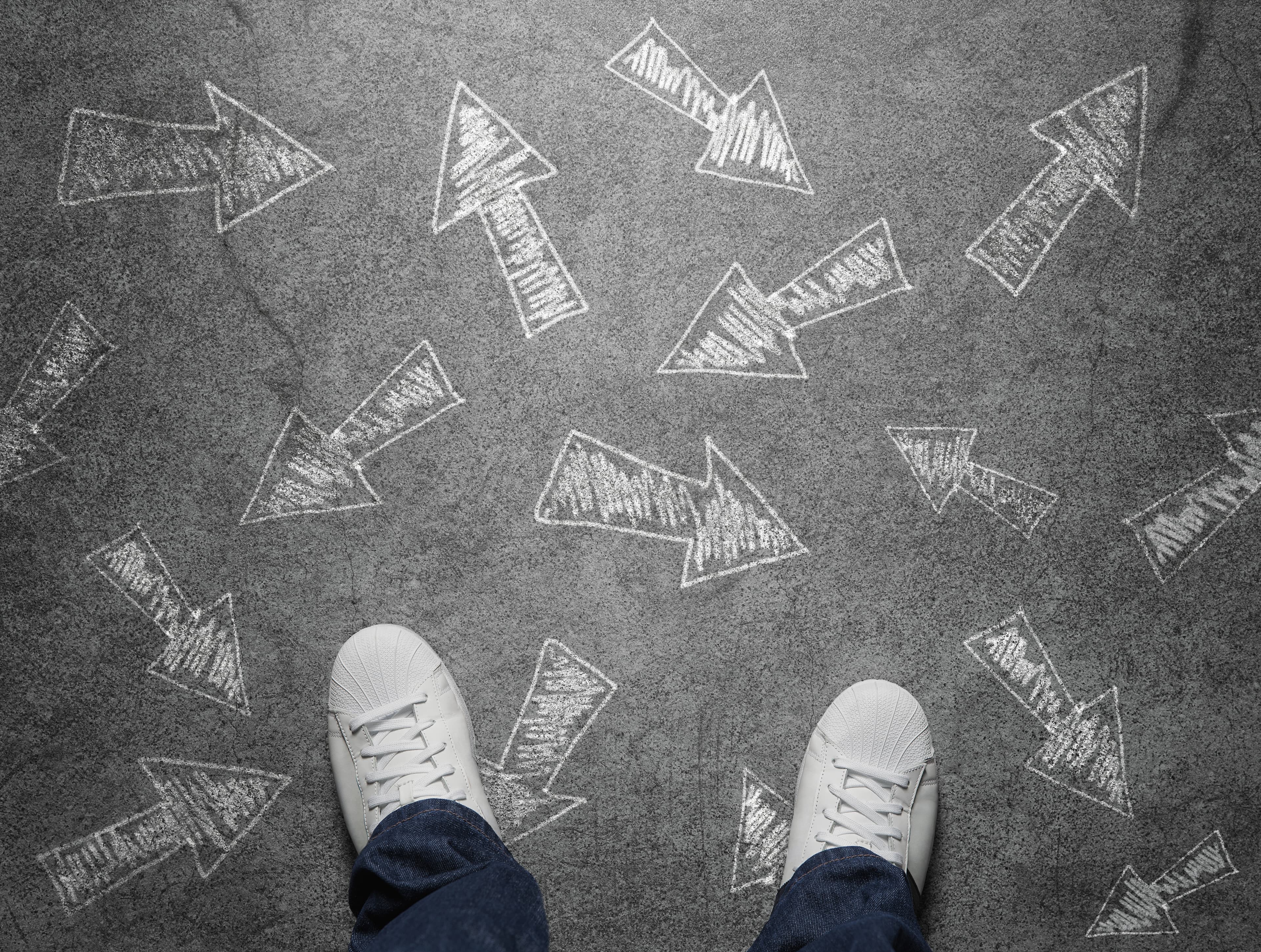 Bei Kienast gibt es viele Ausbildungsmöglichkeiten